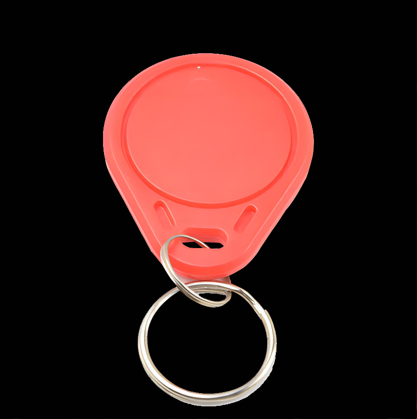 13,56 МГц/125 кГц RFID-брелок Smart ID Key