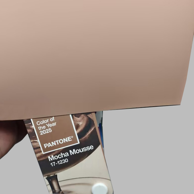 2025 Trend Color: Mocha Mousse PETG Follas para paneis de mobles