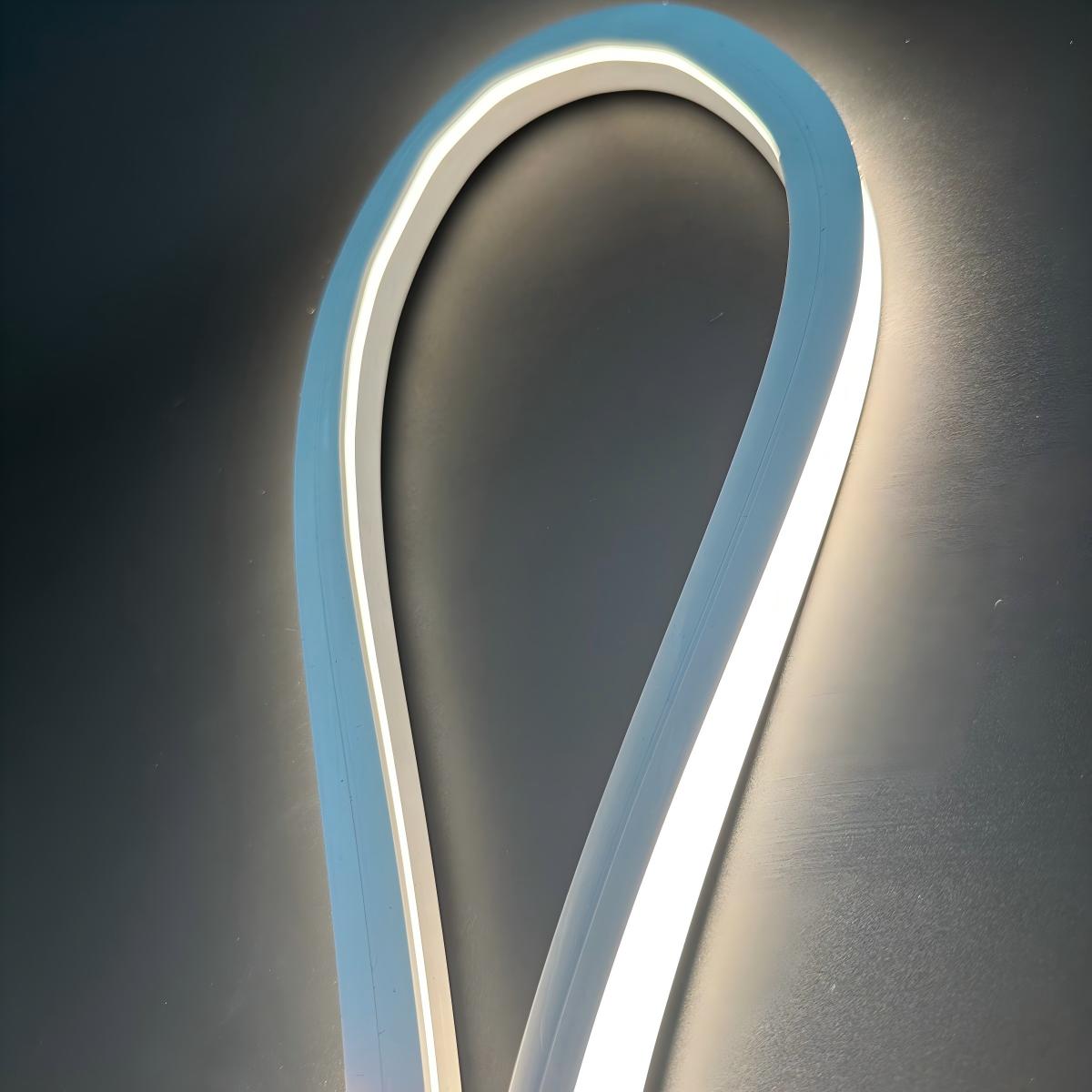 ୱାଟରପ୍ରୁଫ୍ ଏଲଇଡି ନିନ୍ ଫ୍ଲେକ୍ସିବଲ୍ ଲିଡ୍ ଷ୍ଟ୍ରିପ୍ ଲାଇଟ୍ 12V / 24V ୱାଲିସ୍ କଷ୍ଟମ୍ ପାଇଁ | 